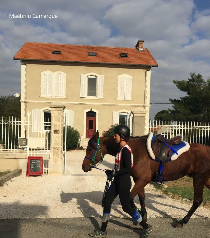 Bed and Breakfast Maébrilu Camargue Provence Salin-de-Giraud Esterno foto